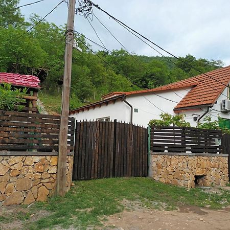 Sasca Montană Andreiヴィラ エクステリア 写真