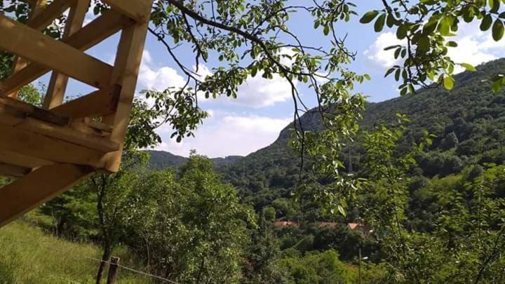 Sasca Montană Andreiヴィラ エクステリア 写真