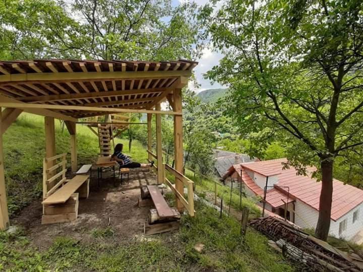 Sasca Montană Andreiヴィラ エクステリア 写真