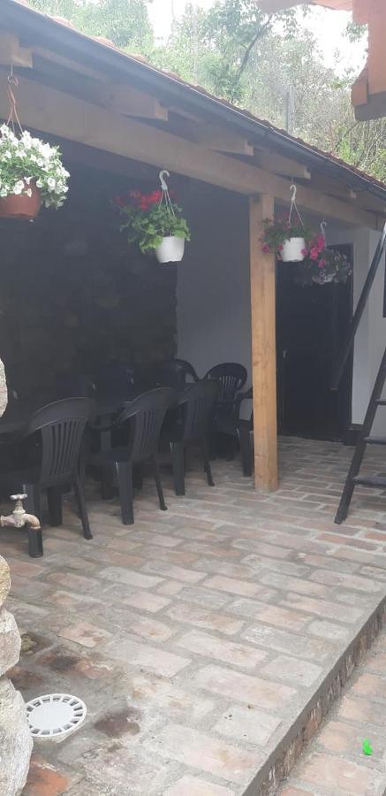 Sasca Montană Andreiヴィラ エクステリア 写真