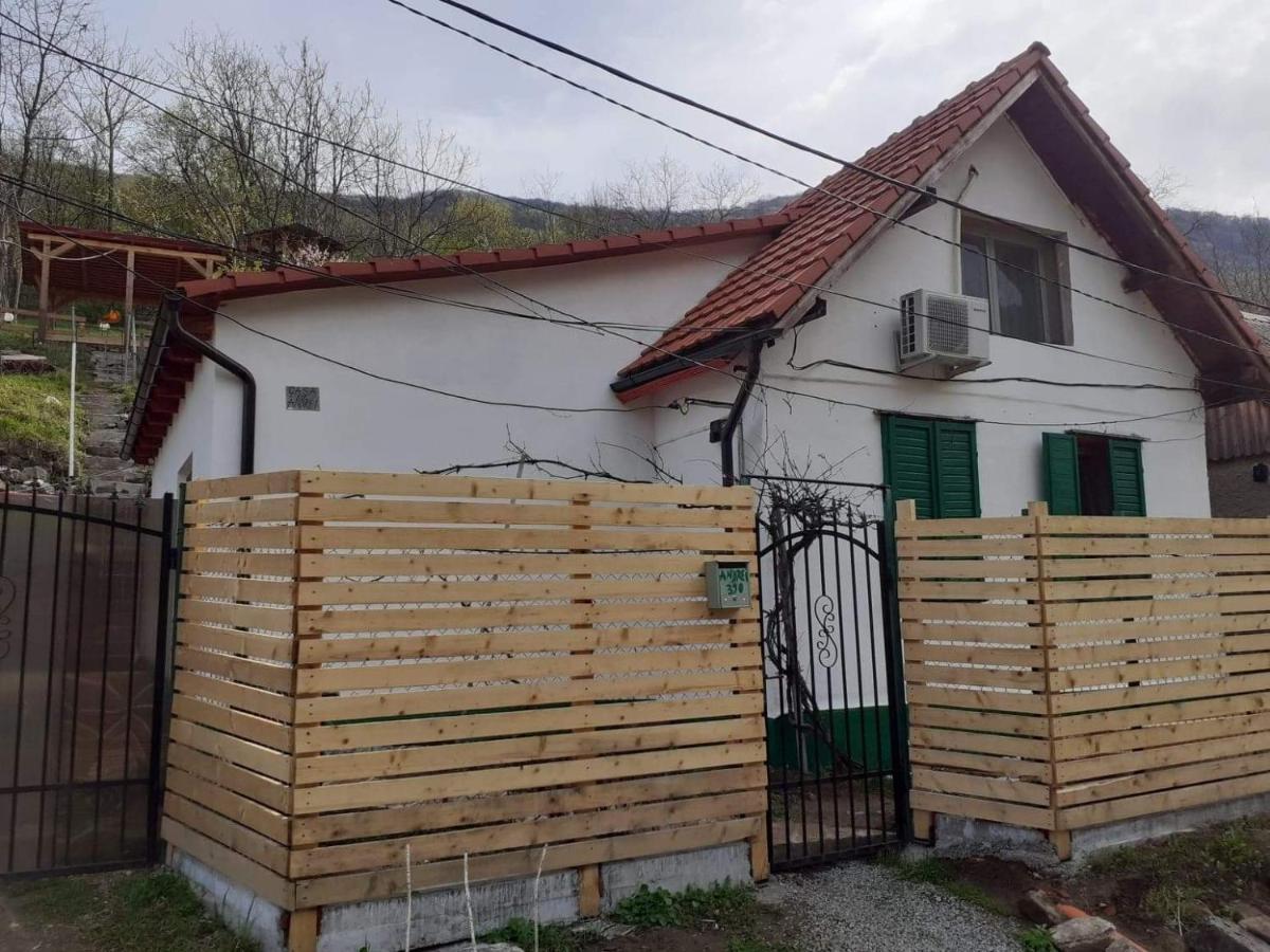 Sasca Montană Andreiヴィラ エクステリア 写真