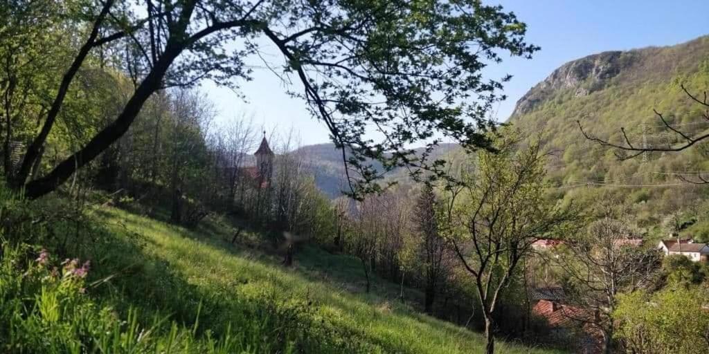 Sasca Montană Andreiヴィラ エクステリア 写真