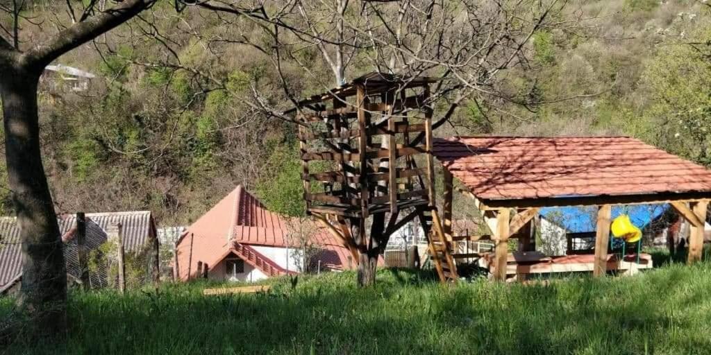 Sasca Montană Andreiヴィラ エクステリア 写真