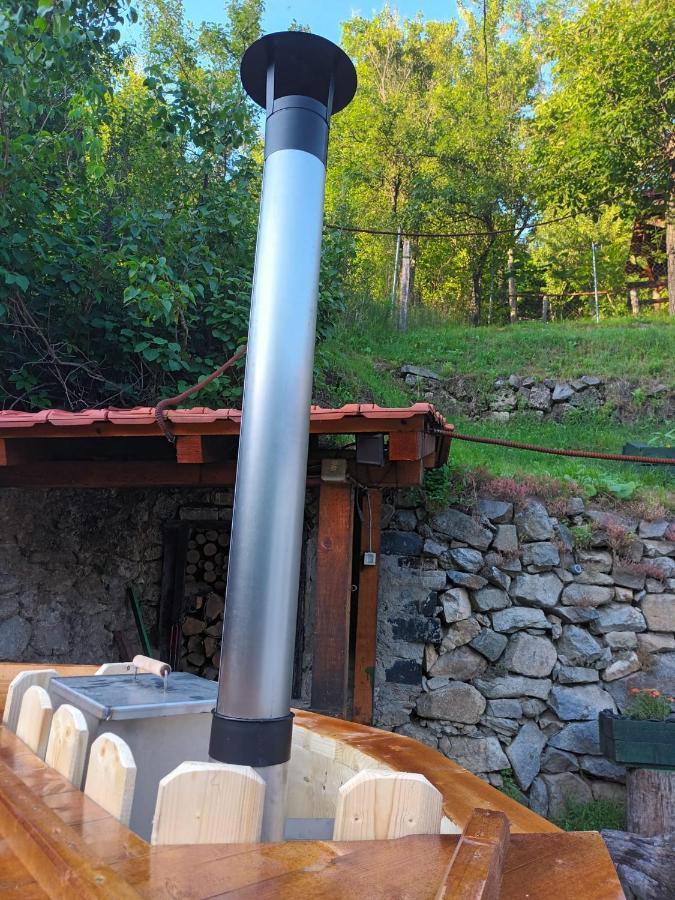 Sasca Montană Andreiヴィラ エクステリア 写真