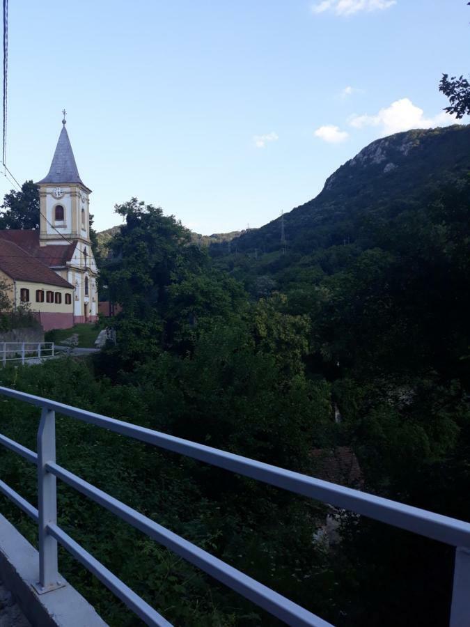 Sasca Montană Andreiヴィラ エクステリア 写真